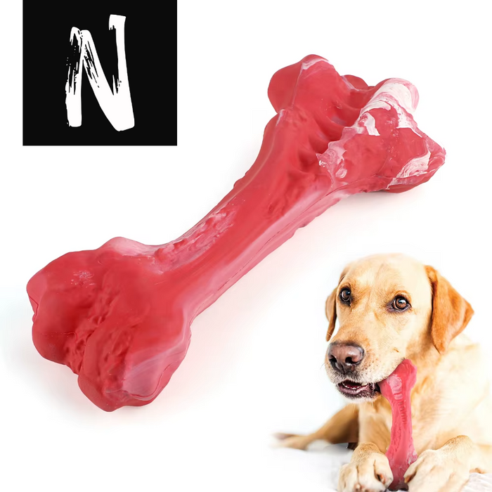 Dog Bone Chew Toy for Aggressive Chewers