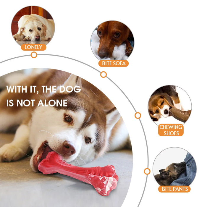 Dog Bone Chew Toy for Aggressive Chewers