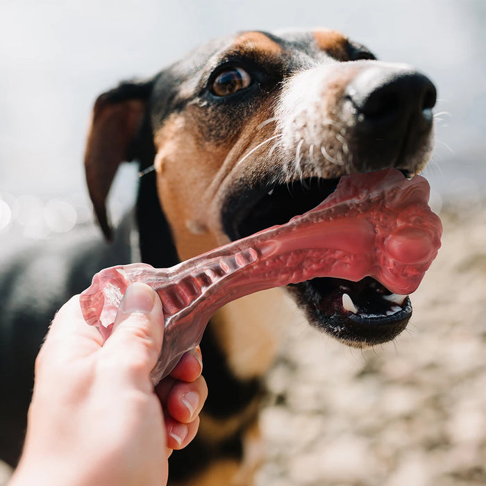 Aggressive Chewers Large Dogs Bone-Shaped