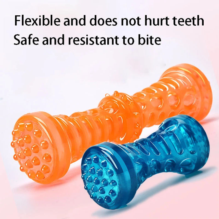 Bite Resistant Dog Toy Toothbrush Bone